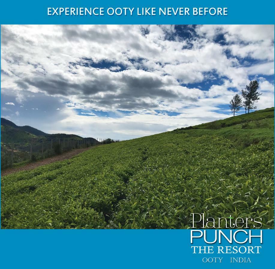 Planters Punch Villa Ooty Luaran gambar